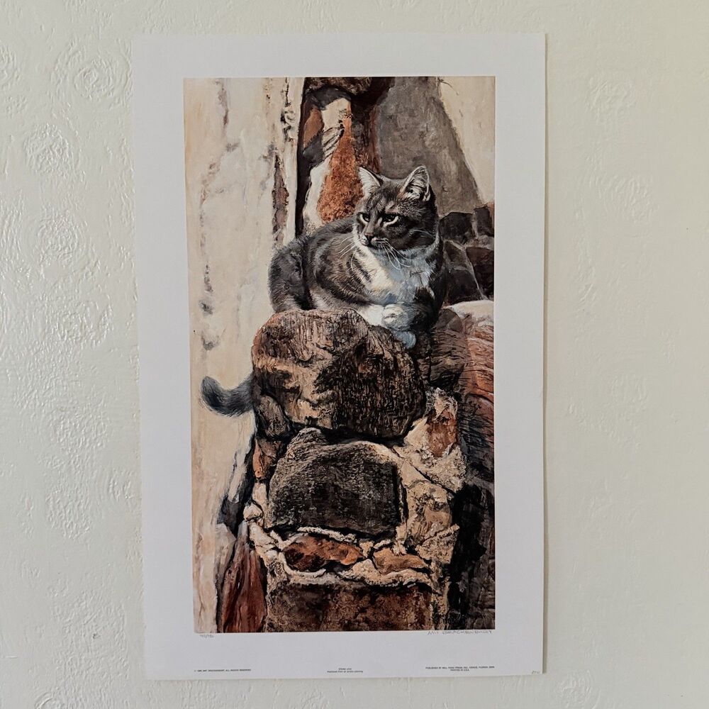 Amy Brackenbury Stone Lyin Poster Print Litho Signed Number 1986 Cat 24.5x15.5”